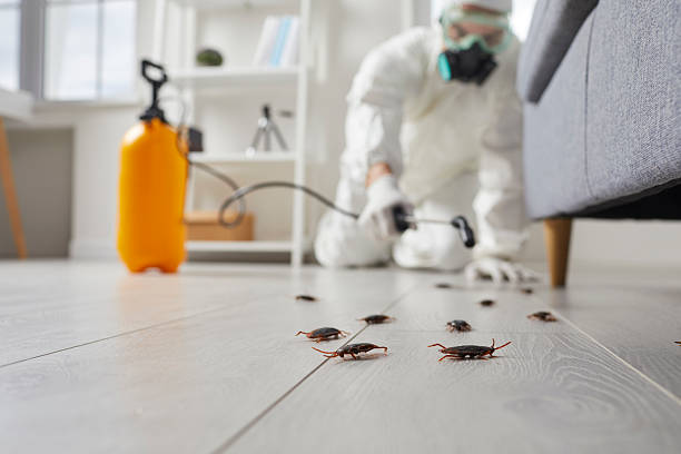 Post-Treatment Bed Bug Interceptor Monitoring in Enon