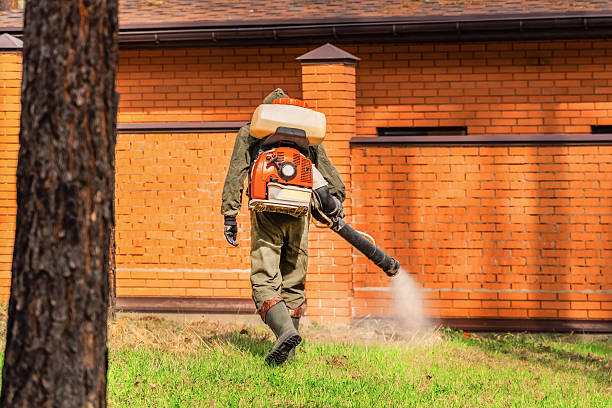 Bed Bug Clearance Verification and Documentation in Enon